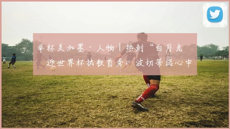 举杯美加墨·人物｜热刺“白月光”迎世界杯执教首秀，波切蒂诺心中一直有个结